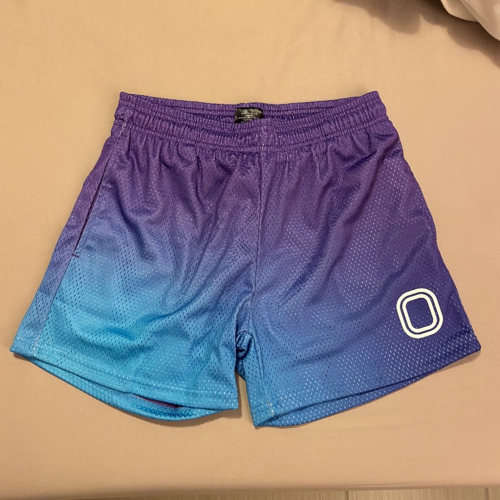Overtime Purple and Teal Shorts